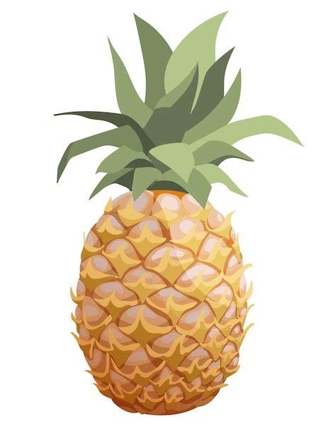 Fruit D ananas Isolé Semi réaliste De Vecteur Ananas Entier Avec Des