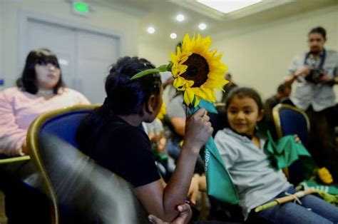 La Jornada Maya Internacional Reuters Liberan En El Salvador A La