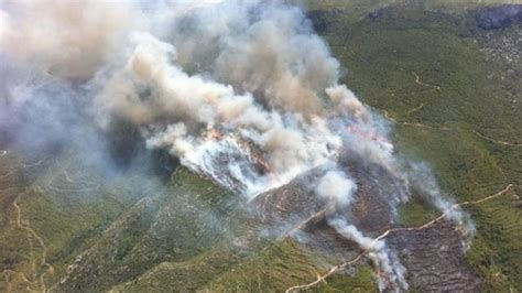 Un Incendio Forestal En La Riba Obliga A Desalojar A 75 Personas