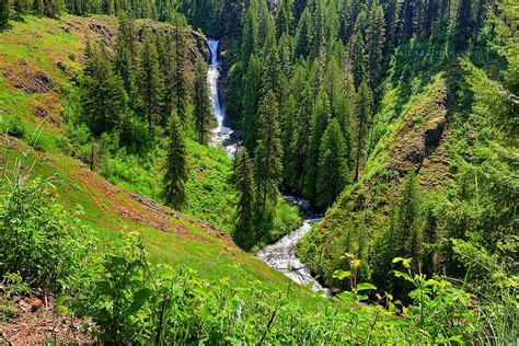 10 best Elk River, Idaho images on Pinterest | Elk river, Idaho and River