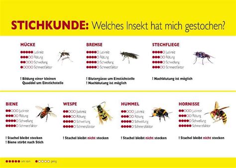 Mückenzeit Insektenzeit Wenn Es Summt Und Sticht