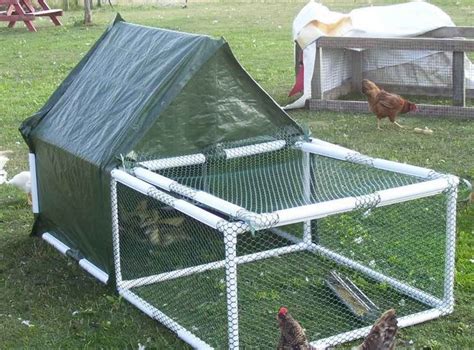 Diy Pvc Chicken Tractor Simple Steps For Mobility And Ease Your