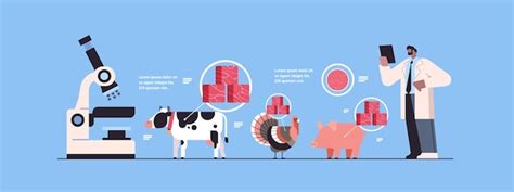 Cient Fico Que Controla El Proceso De Producci N De Carne Cruda Roja