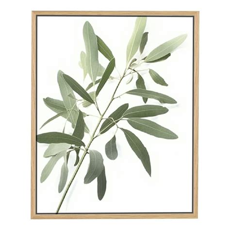 Jeuxus Framed Botanical Canvas Wall Art Boho Plant Wall Decor For