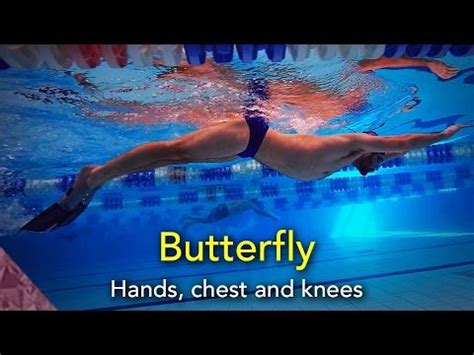 Butterfly swimming technique. How to swim butterfly. Beginner | Swim ...