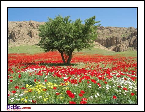 جاذبه های گردشگری نوراباد دلفان پایگاه خبری، تحلیلی میرملاس