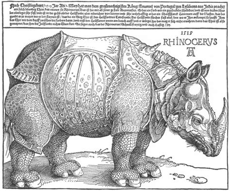 Dürer's Rhinoceros - Facts & History of the Painting