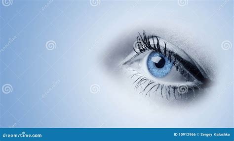 Female blue eyes stock photo. Image of light, color, beauty - 10912966