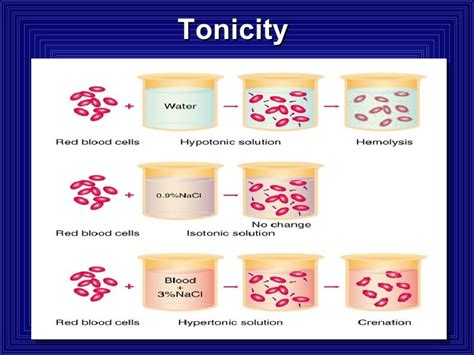 Fluid And Electrolytes1