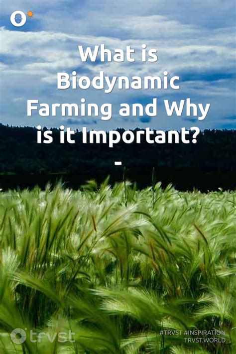 What Is Biodynamic Farming And Why Is It Important Artofit