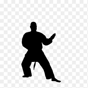 Seni Bela Diri Kung Fu Silhouette Fight Bermacam Macam Sudut Png