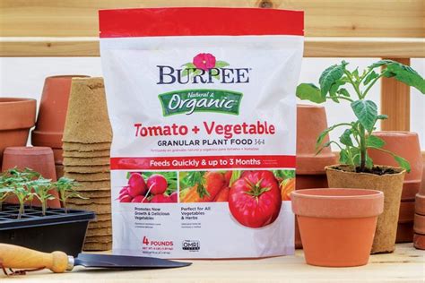 The 8 Best Soil For Tomatoes In Pots