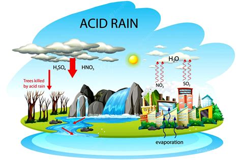 Mưa axit là gì Nguyên nhân và tác hại của mưa acid