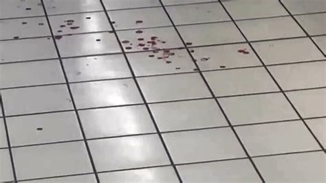 Accoltellamento Al Centro Commerciale Di Assago Milano