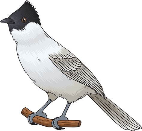 arti mimpi menangkap anak burung kutilang 11