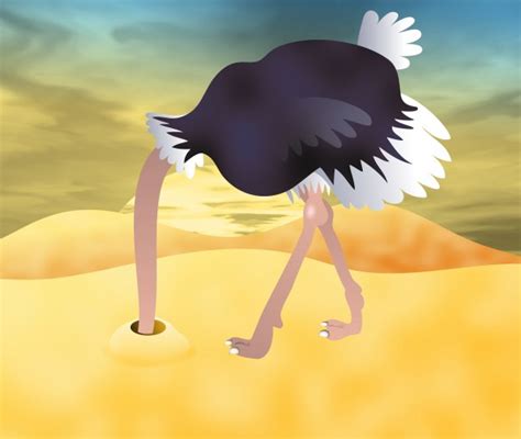 Ostrich Clip Art Free Stock Photo - Public Domain Pictures