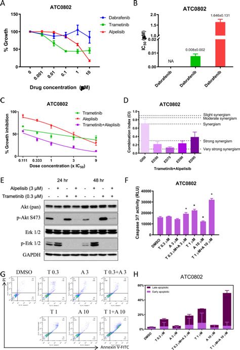 Synergistic Effects Of The Combination Of Trametinib And Alpelisib In