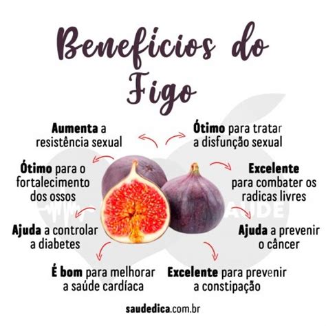 Figo Para Que Serve Como Usar Valor Nutricional Benef Cios