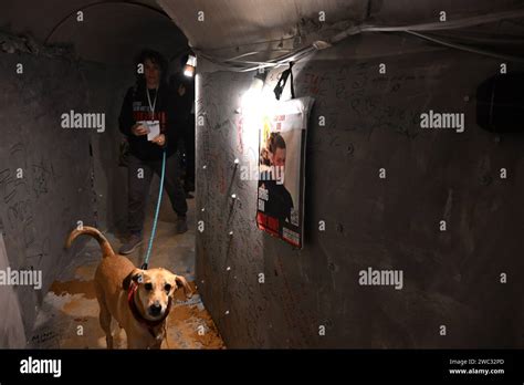 Tel Aviv Isra L Janvier Les Gens Visitent Un Tunnel De