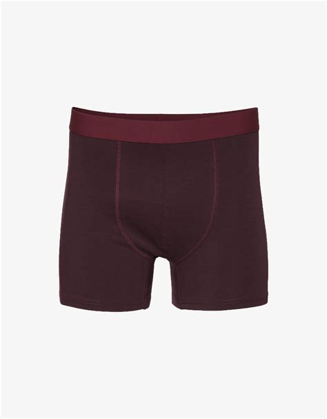 organic underwear men 9