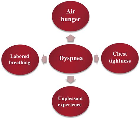 The Occurrence Mechanism Assessment And Non Pharmacological Treatment