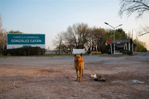 Democracia Ambiental Activa Basurales A Cielo Abierto Esto Es Un