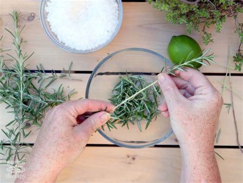 How to Harvest Rosemary the Easy Way - GardenTipsHub