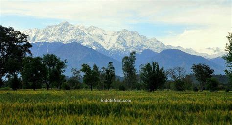 Sangla Valley Himachal Pradesh | Sangla Homestay Accommodation | RiddhiMart