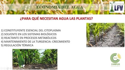 Optimizando La Economía Del Agua Consejos Para Una Gestión Eficiente