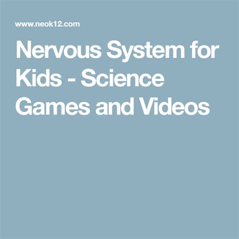 Nervous System for Kids - Science Games and Videos | Science games for kids, Science for kids ...