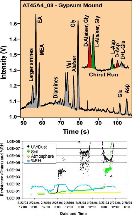 Top μce Eletropherogram Showing Amino Acids And Amines Detected In