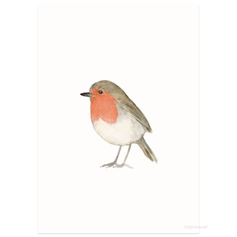 Postkarte Karte Rotkehlchen Robin Aquarell By Stokwolf Stk Vo