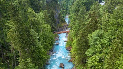 Bing HD Wallpaper : Nature’s blue wonder - Bing Wallpaper Gallery