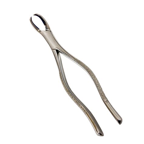 Shafqat 23 Cowhorn Surgical Forceps Lower 1st And 2nd Molar Universal