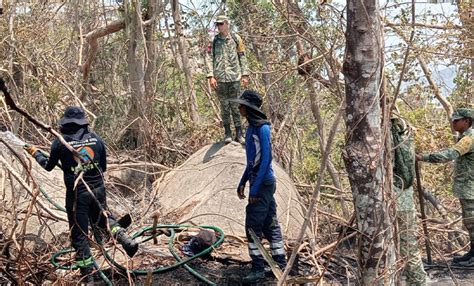 Se Reactiva Incendio En Las Brisas De Acapulco