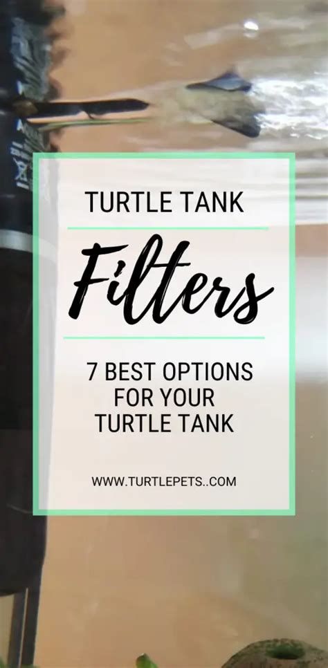 Turtle Tank Filters - 7 Best Options For Your Turtle Tank | TurtlePets