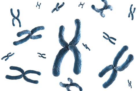 Premium Photo D Rendering Blue Chromosome On White Background