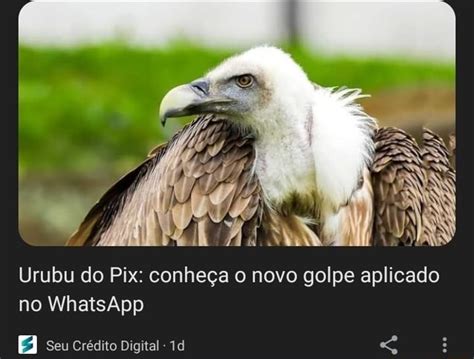 Urubu Do Pix Conhe A O Novo Golpe Aplicado No Whatsapp Seu Cr Dito