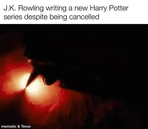 J K Rowling You Carry Our Hopes With You Meme Subido Por