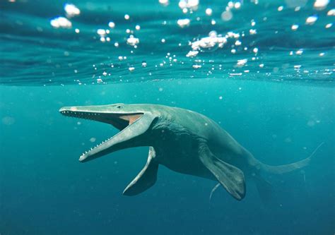 Scientists Unearth An Evolutionary Oddity A Mosasaur With Screwdriver