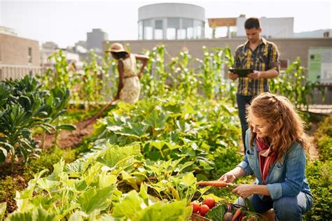 Définition Jardin partagé