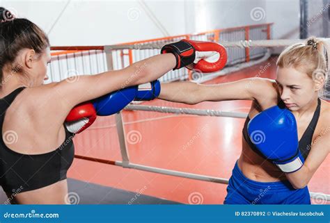 Professional Female Boxers Having A Sparring Bout Stock Photo Image