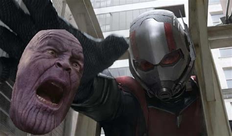 Biophysicist Says Avengers Endgame Ant Man In Thanos Ass Theory