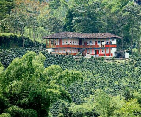 Finca Paisaje Cultural Cafetero Patrimonio De La Humanidad Caldas