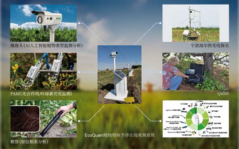 田间分布式表型系统——phenosight 上海农科院andagripheno长三角表型技术示范中心