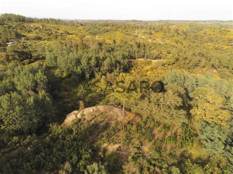 Terreno Venda Em Castelo Branco Salgueiro Do Campo Casa Iol