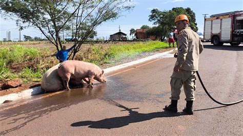 Carreta Carregada Su Nos Tomba Em Anel Vi Rio Em Dourados Portal