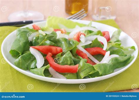 Salad with oil stock photo. Image of healthy, lettuce - 20193524