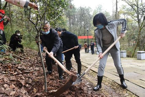 县领导带头义务植树添新绿澎湃号·政务澎湃新闻 The Paper