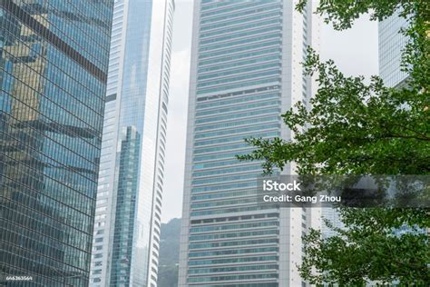 Daun Hijau Depan Gedung Perkantoran Foto Stok - Unduh Gambar Sekarang ...